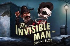 Играть в Invisible Man